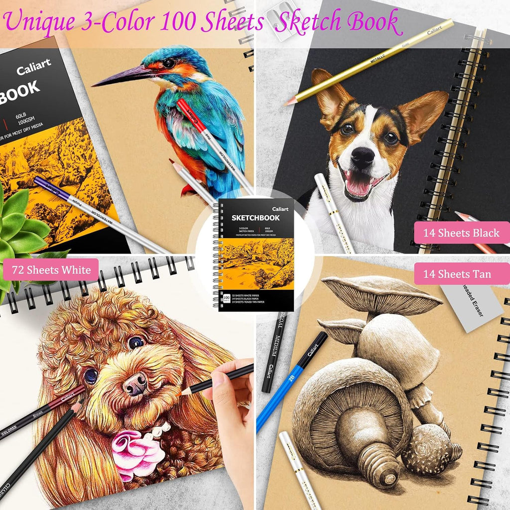 Caliart 176PCS Professional Drawing & Sketching Kit with 100-Sheet 3-Color Sketchbook, Watercolor Pencils, Metallic Pencils & Graphite Set